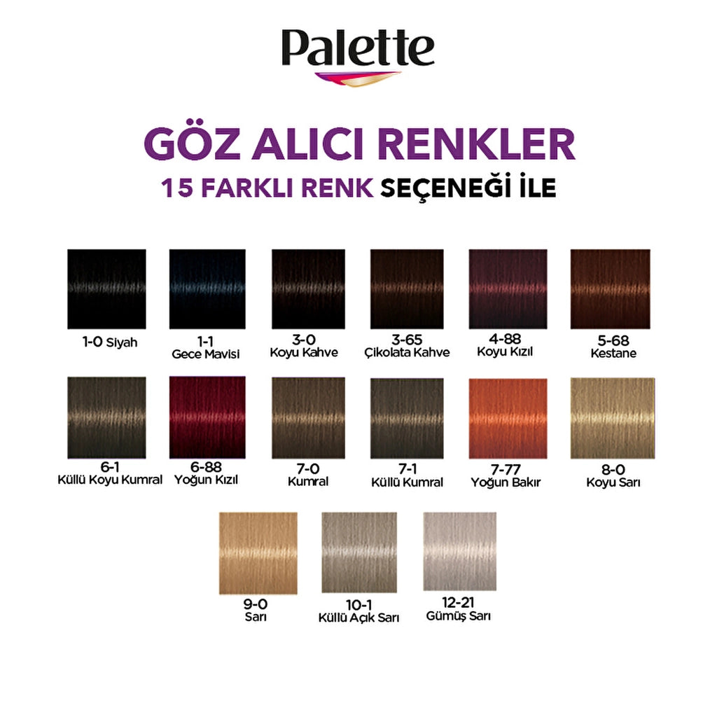 Palette Eye Catching Colors Hair Dye 3-65 Chocolate Brown