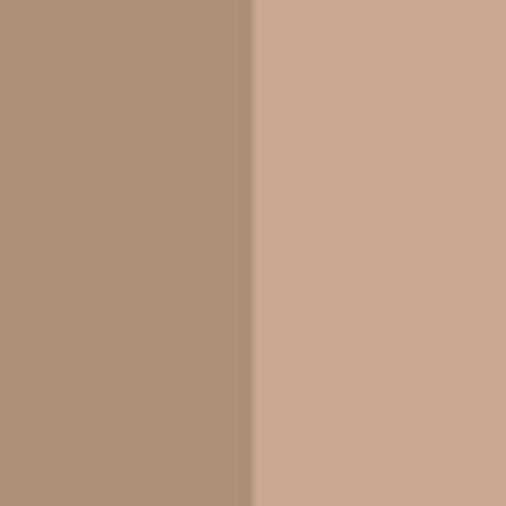 Beaulis Flare It Illuminator & Concealer 137 Fair