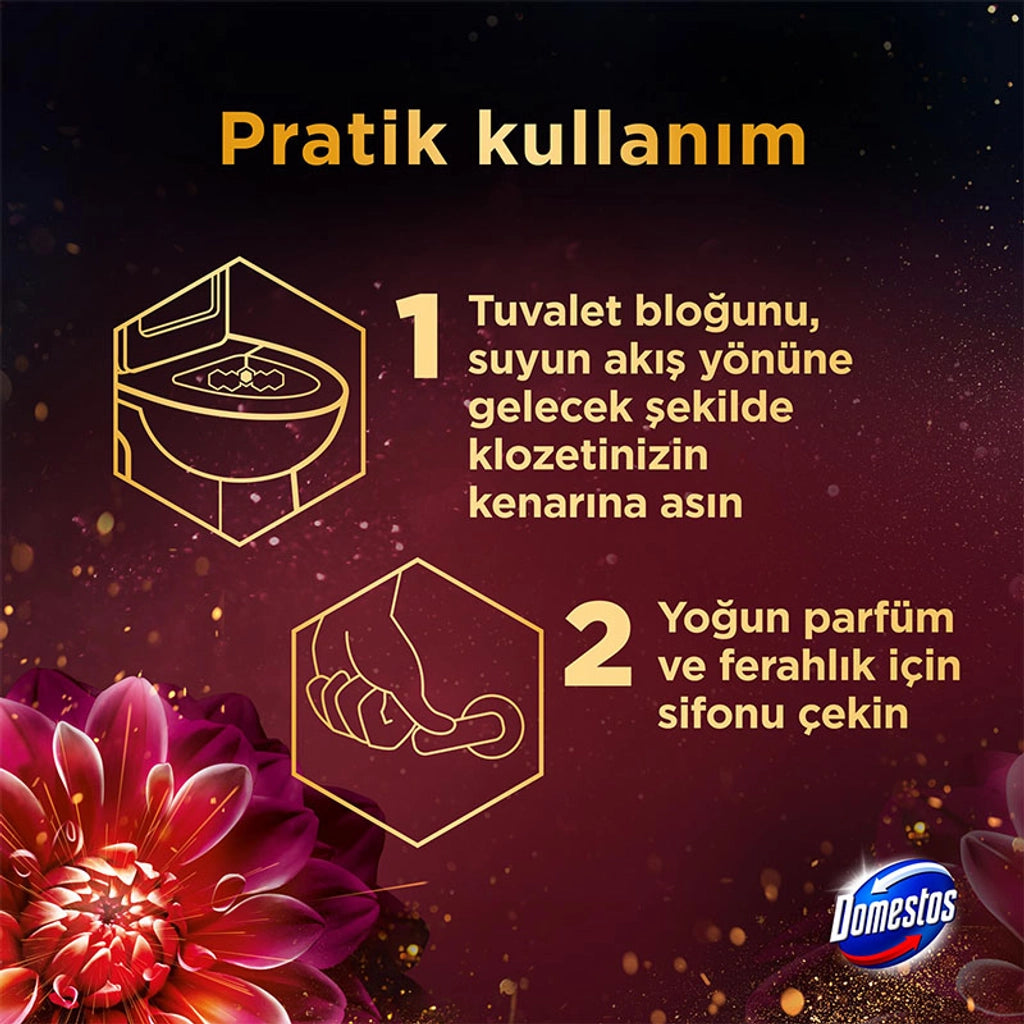 Domestos WC Block Dahlia & Dragon Fruit 2 x 50 gr