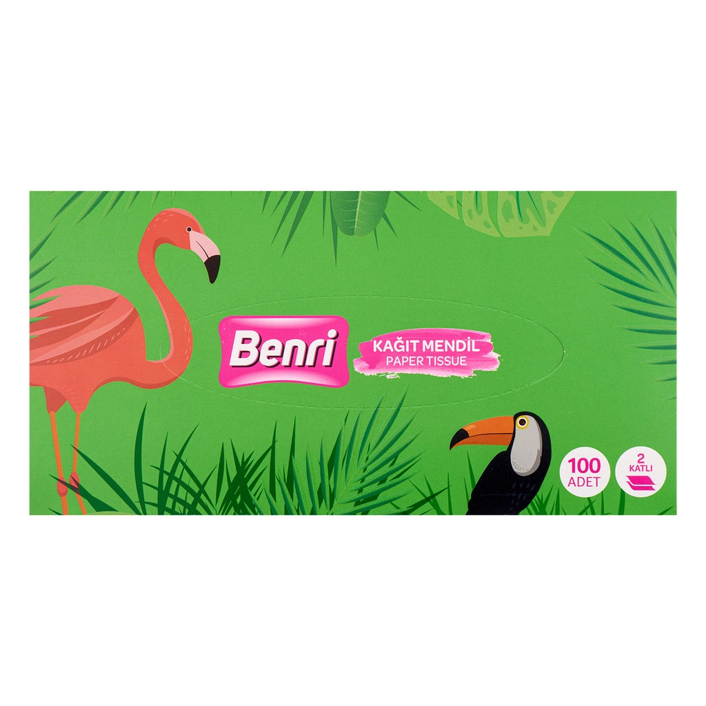Benri Facial Tissue Box 100s