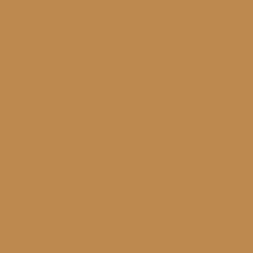 Golden Rose Skin Perfect CC SPF50 Foundation 105 Caramel
