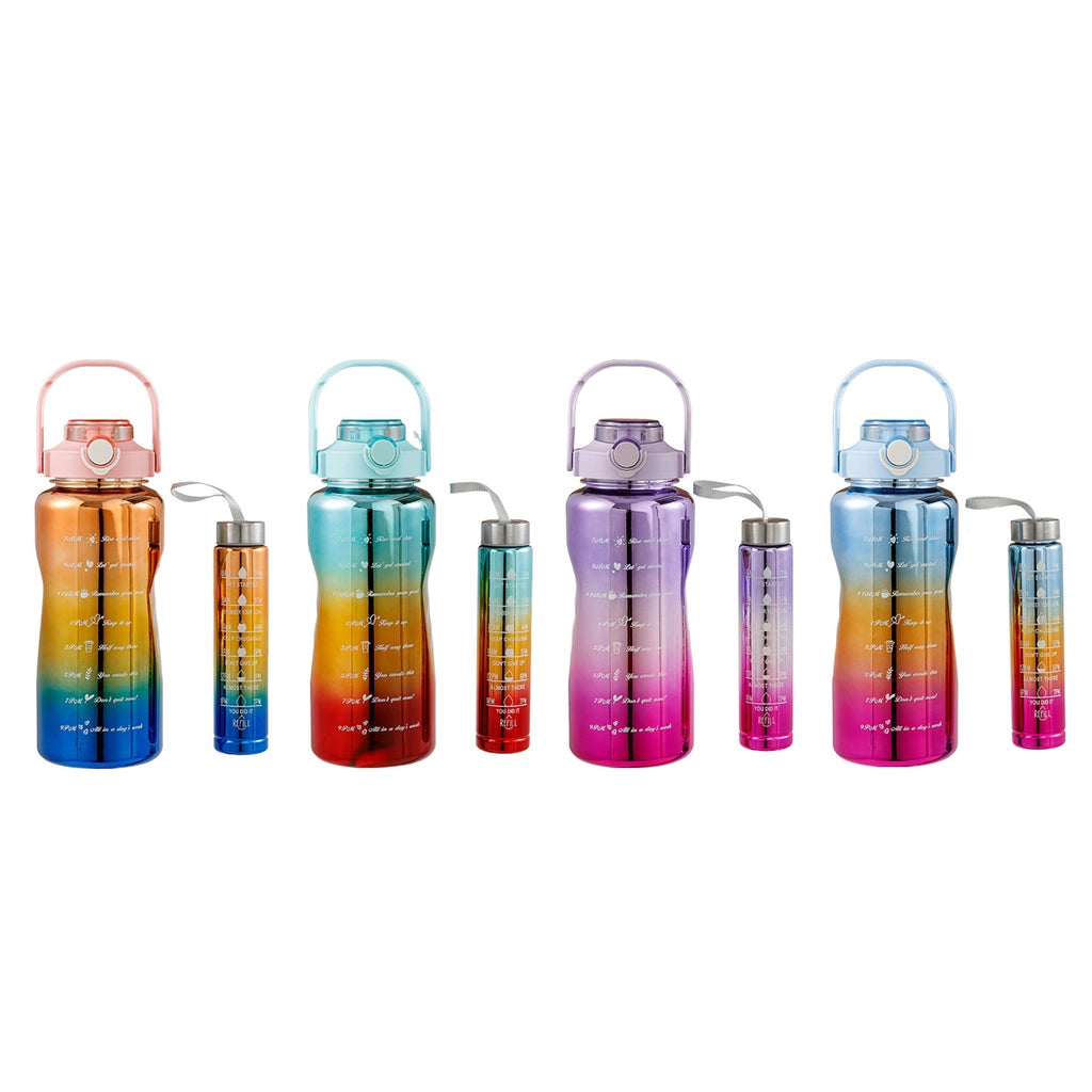 VPW Motivation Flask Set of 2 UV Coated (Assorted)