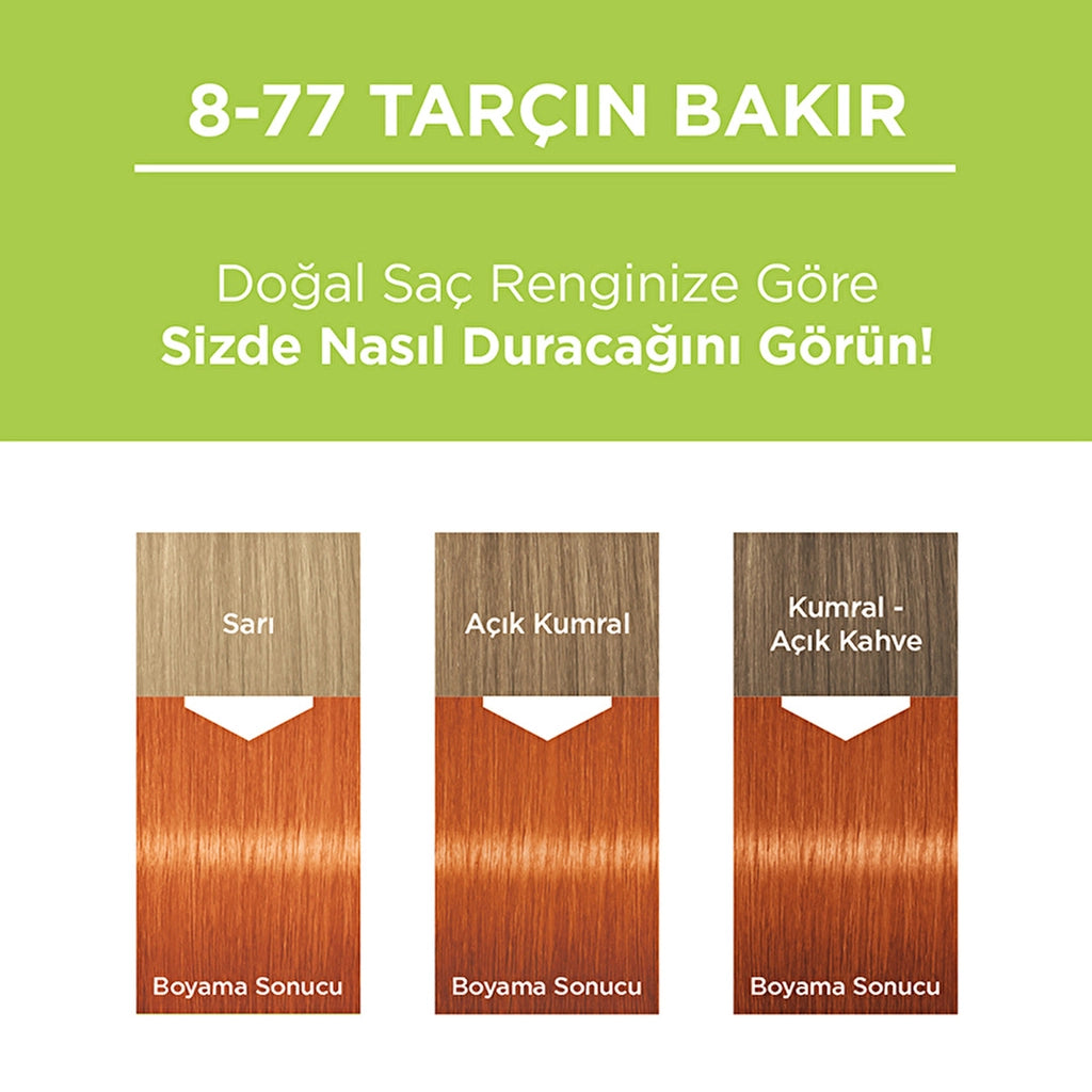 Palette Permanent Natural Colors Hair Dye 8-77 Cinnamon Copper