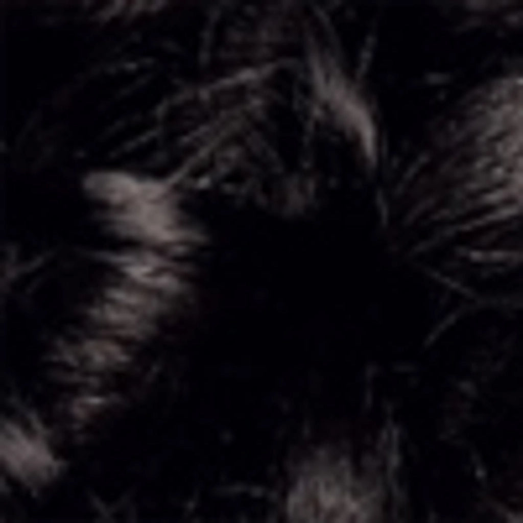 Wella Koleston Deluxe Ammonia-Free Kit Hair Dye 2/0 Black