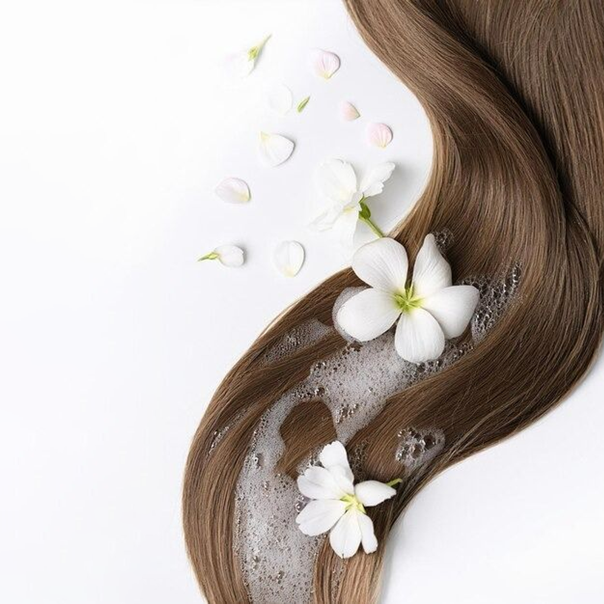 Shampoo