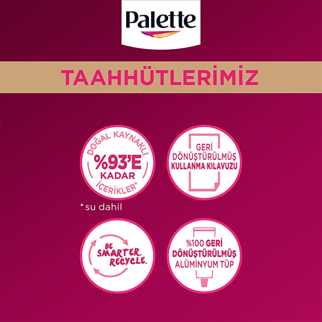 Palette Deluxe Hair Dye 4-65 Fascinating Brown