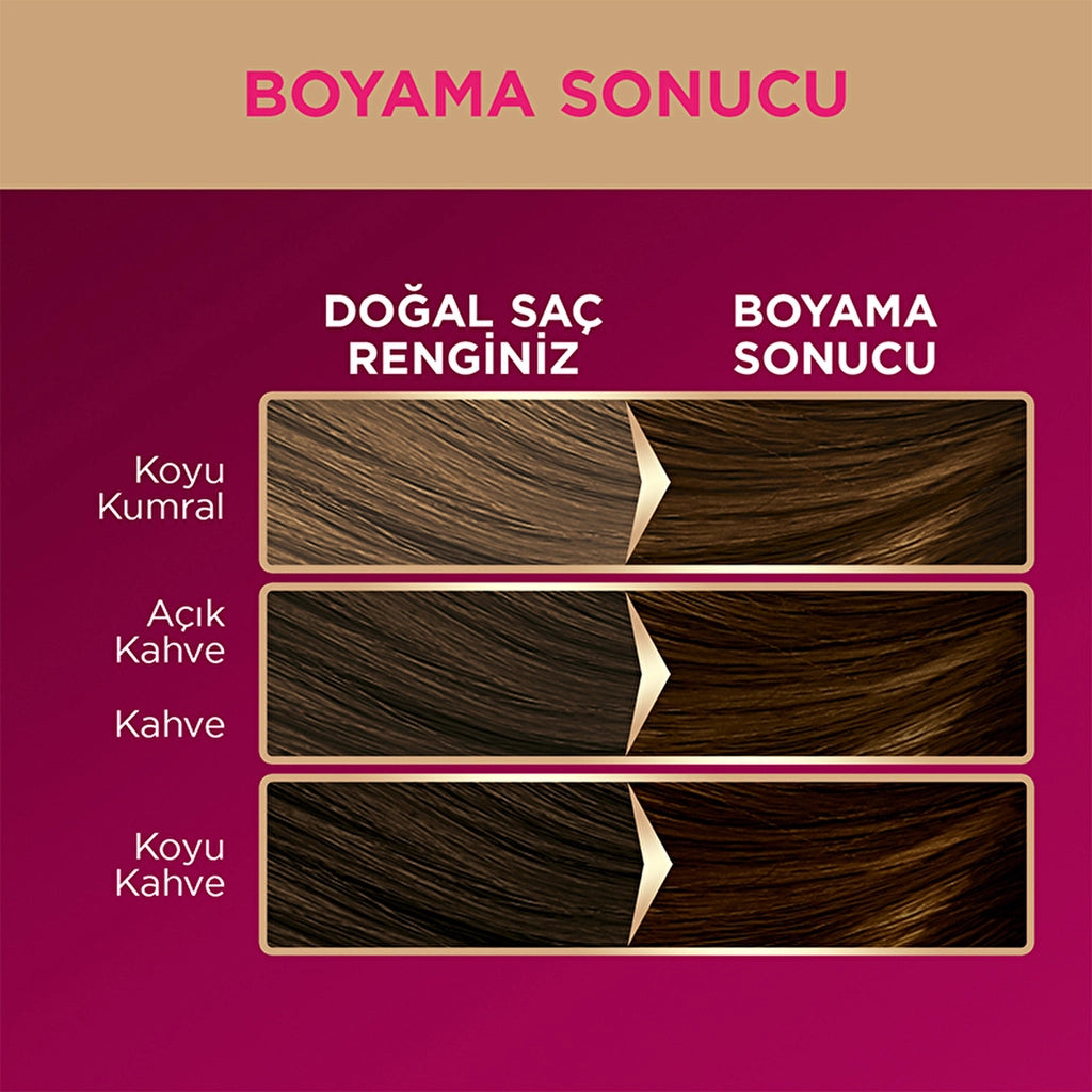 Palette Deluxe Hair Dye 4-65 Fascinating Brown