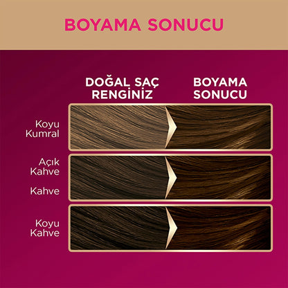 Palette Deluxe Hair Dye 4-65 Fascinating Brown