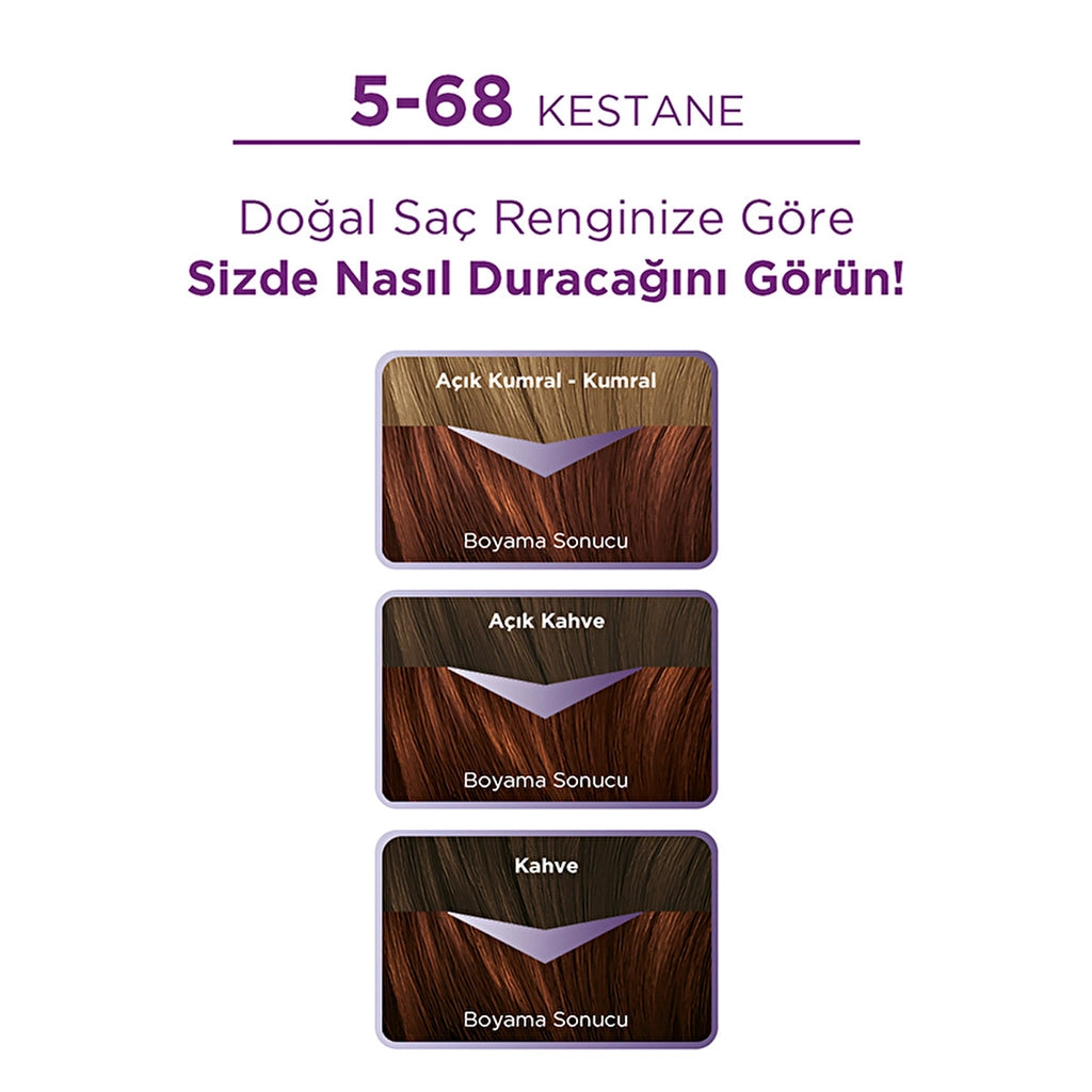 Palette Eye Catching Colors Hair Dye 5-68 Chestnut