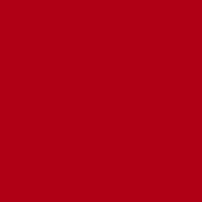 Flormar Full Color Extra Intense Pigmented Nail Polish FC08 Optimistic Red