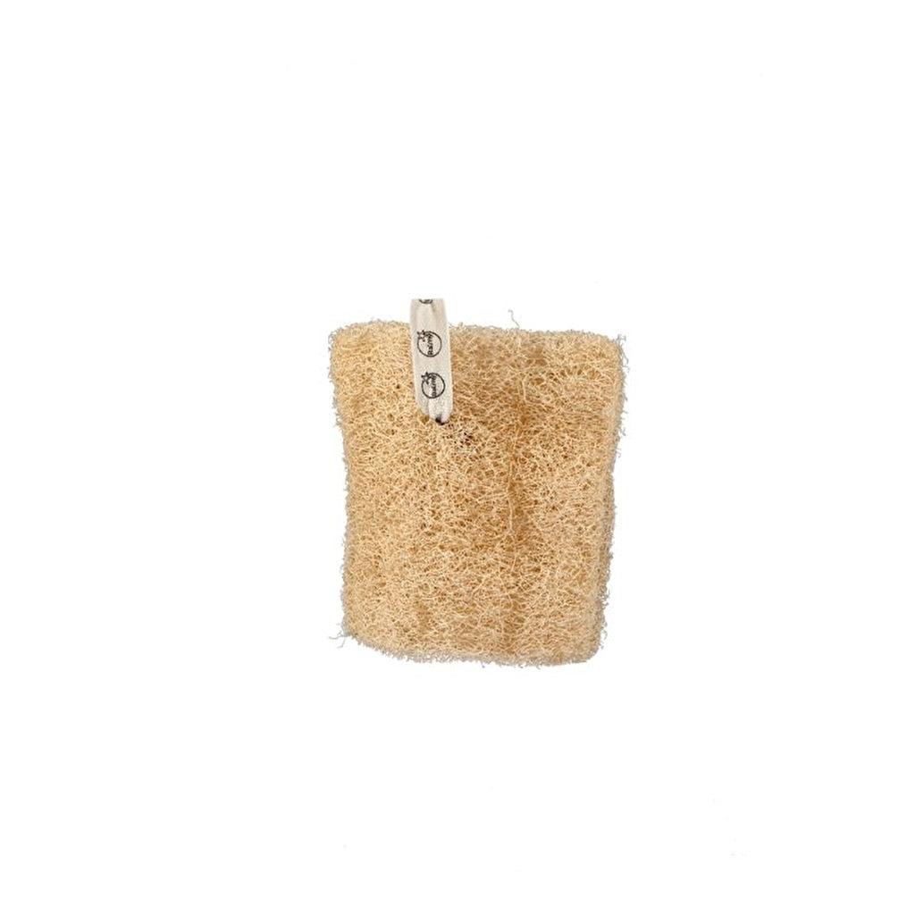 Balmy Pumpkin Chubby Bath Scrub