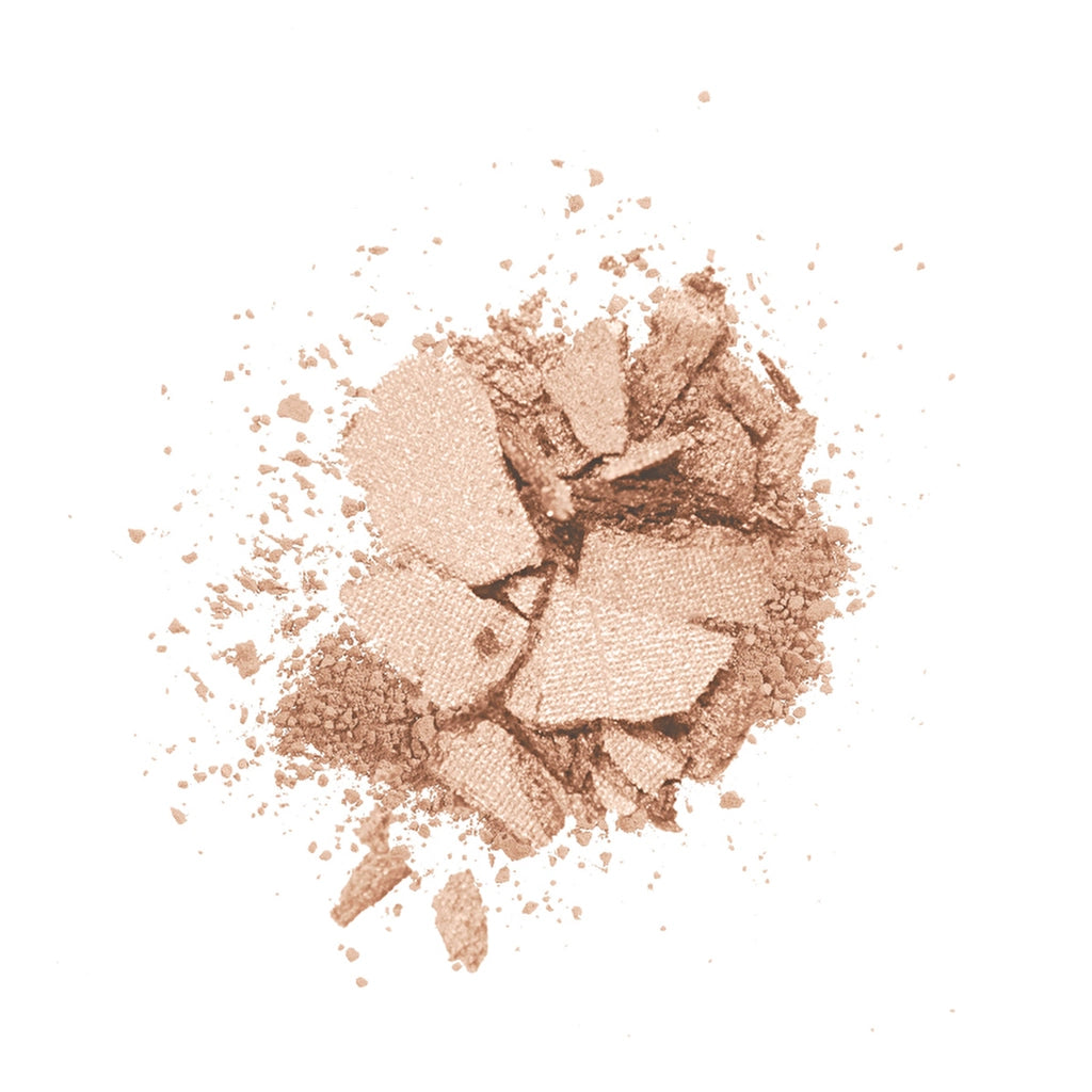 wet n wild Color Icon Bronzer What Shady Beaches E743B