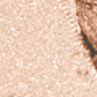 wet n wild Color Icon Bronzer What Shady Beaches E743B