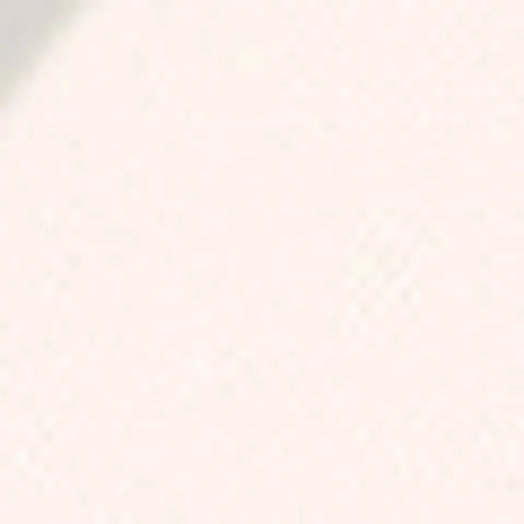 Pastel Profashion Fixing Powder 00