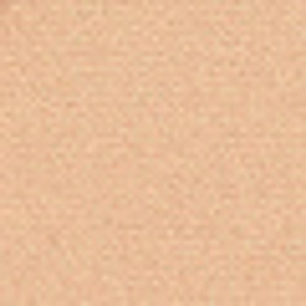 Pastel Profashion Fixing Powder 01