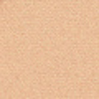 Pastel Profashion Fixing Powder 01