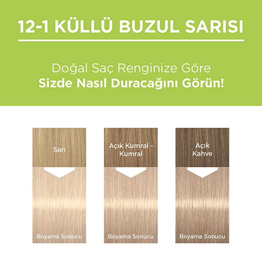 Palette Permanent Natural Colors Hair Dye 12-1 Ashy Glacier Blonde