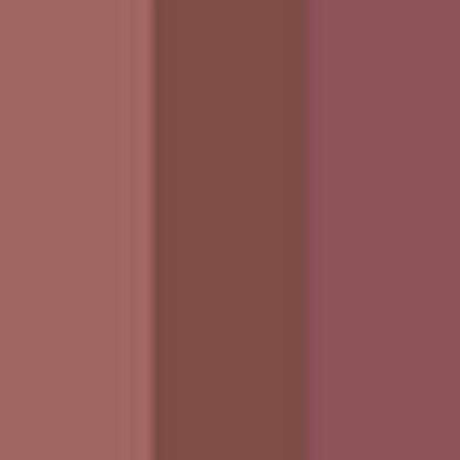 Beaulis Must Have It Mini Matte Liquid Lipstick Set 242 Particular