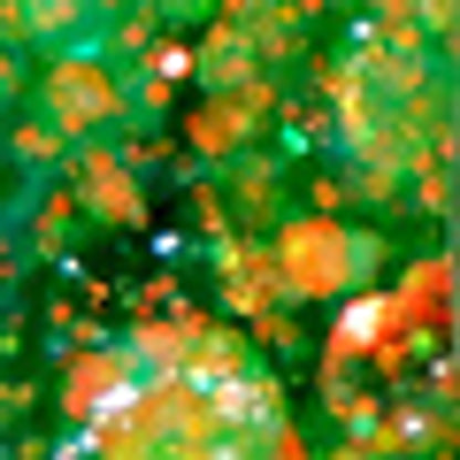 Mov Glitter Cream Festival No:05 Paris Parc