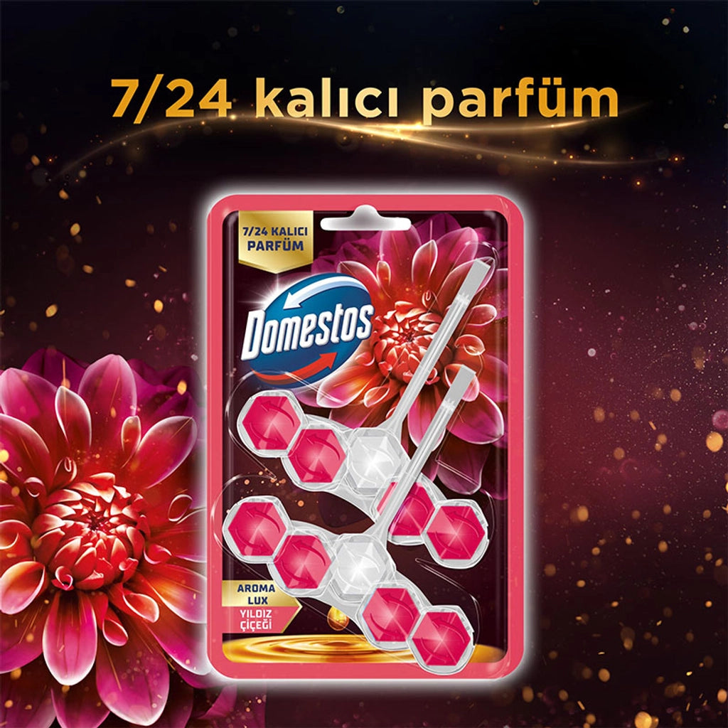 Domestos WC Block Dahlia &amp; Dragon Fruit 2 x 50 gr