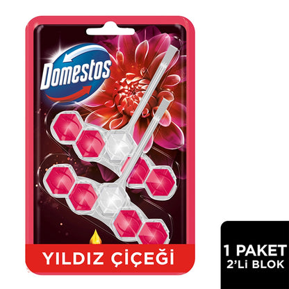 Domestos WC Block Dahlia &amp; Dragon Fruit 2 x 50 gr