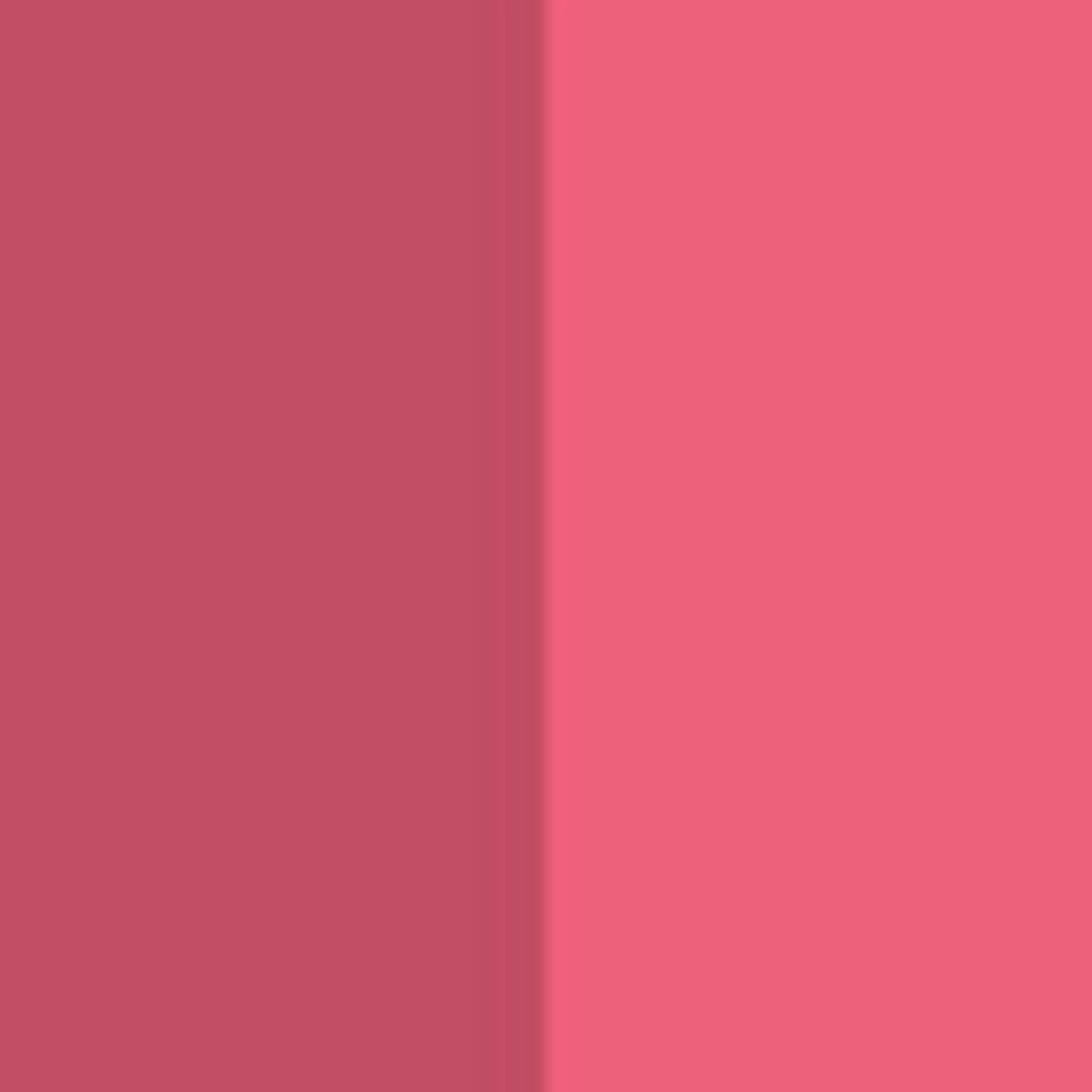 Pastel Perfect Lip Duo Plump Up Gloss 206 + Lip Contour Liner 51