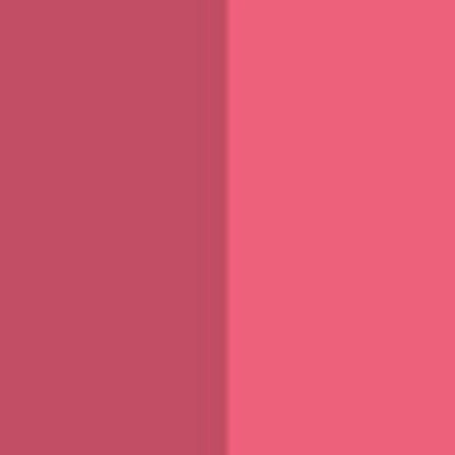 Pastel Perfect Lip Duo Plump Up Gloss 206 + Lip Contour Liner 51