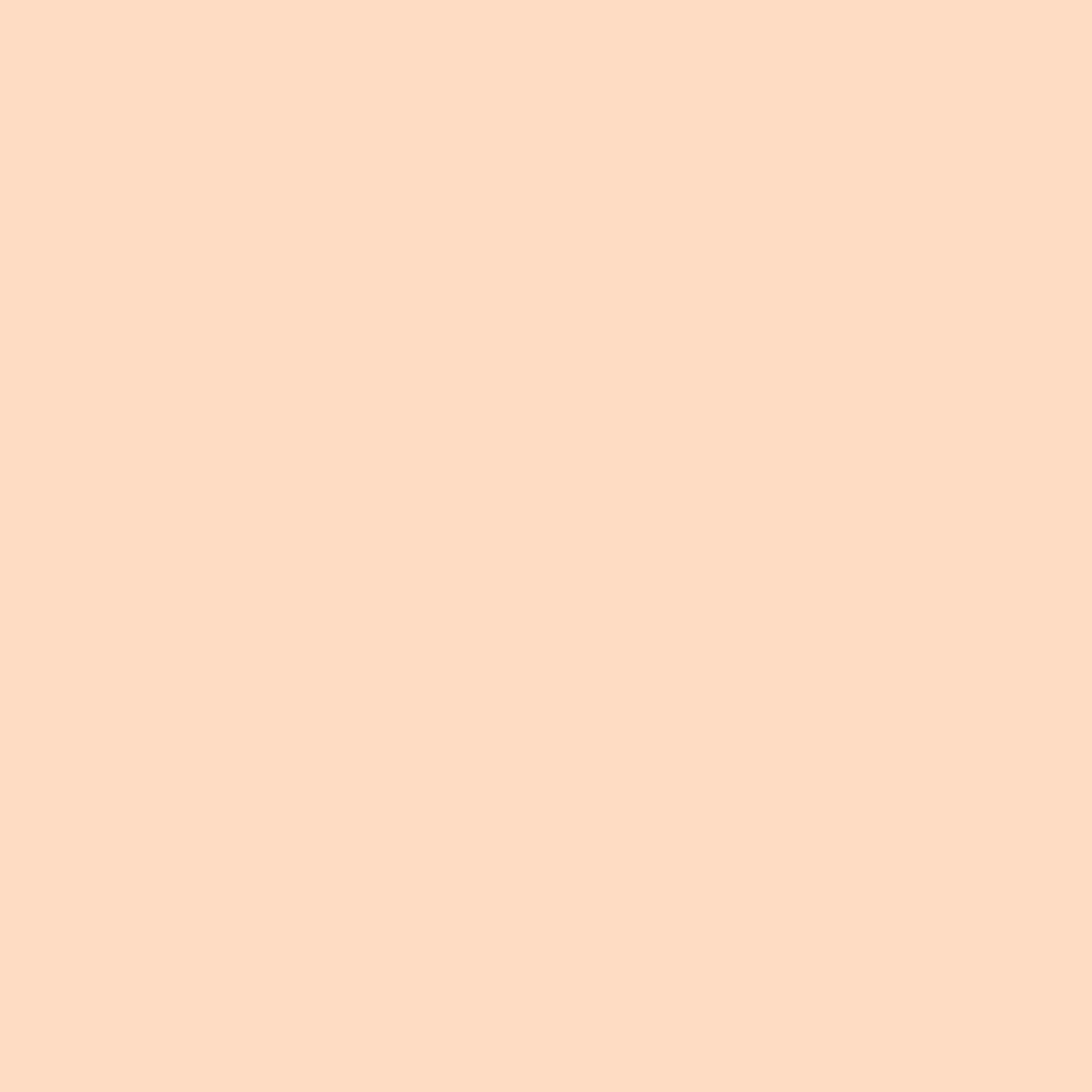 Loreal Paris True Match Brightening Serum Concealer 2R