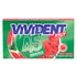 Vivident Xylit 45 Minutes Watermelon Flavored Gum 26 gr