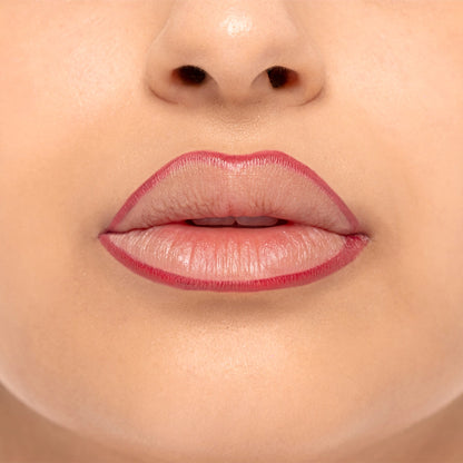 wet n wild Perfect Pout Lip Liner Stain I&