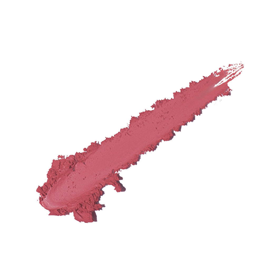 Vivienne Sabo Jolies Levres Lip Pencil 202 Cool Dark Rose - Precise Definition &amp; Long-Lasting Wear