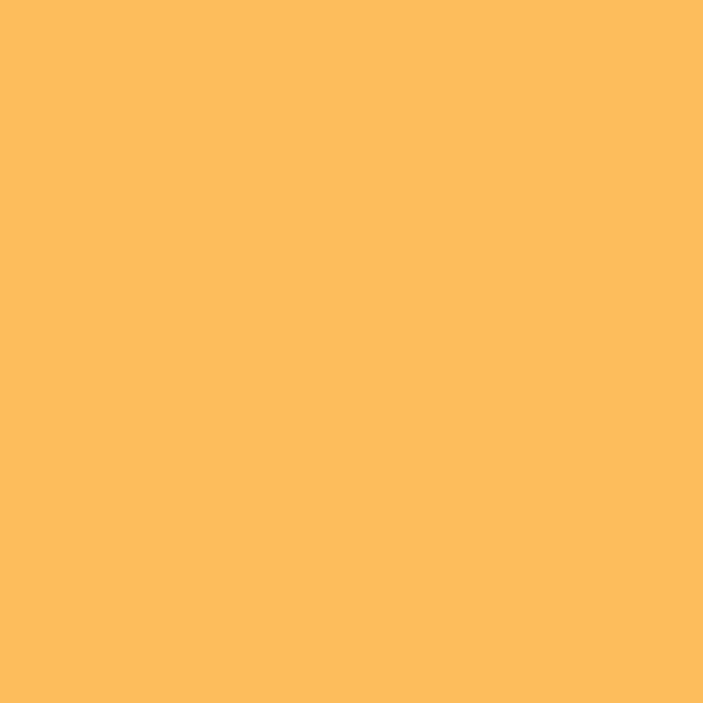 Love Generation Eye Pencil 10 Orange Crush - Classic Pencil for Bold Looks