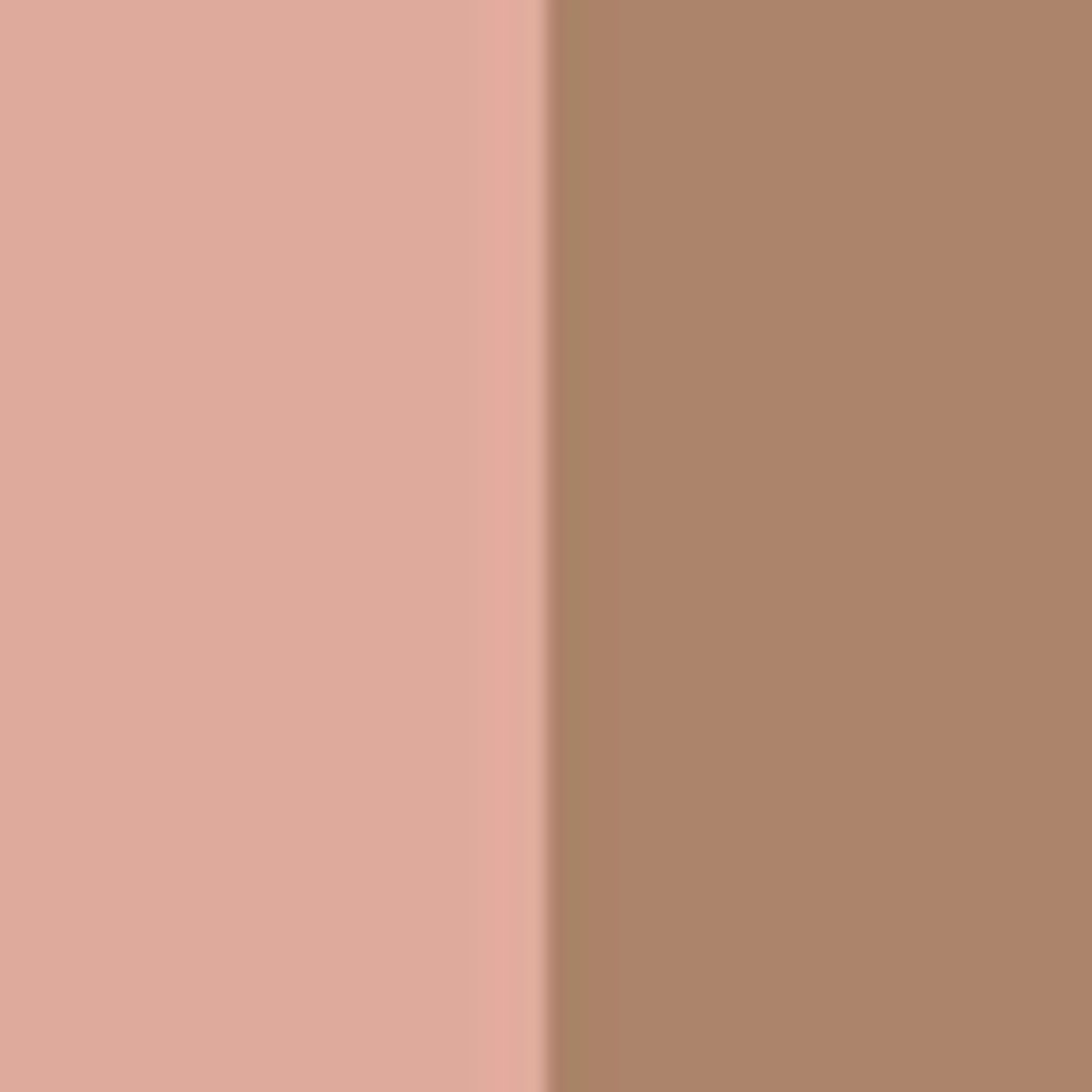 Astra Private Dream Face Palette Posh