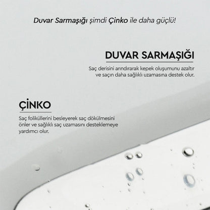 Otacı Botanics+ Anti-Dandruff Herbal Care Shampoo Wall Ivy and Zinc 375 ml
