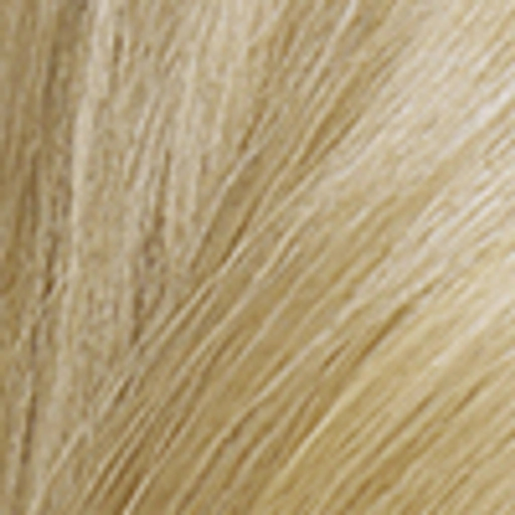 Palette Deluxe Hair Dye 10-0 Light Blonde