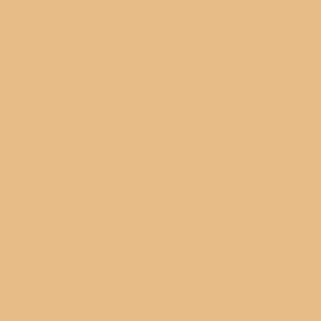 Jowe Professional Mineral Compact Powder 10 Ivory Beige
