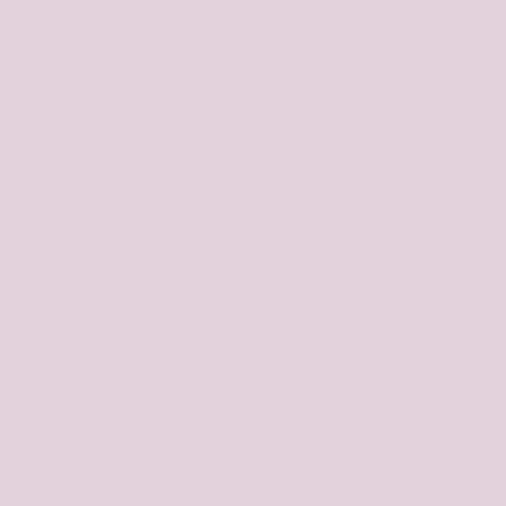 Pastel Profashion Fixing Powder 02