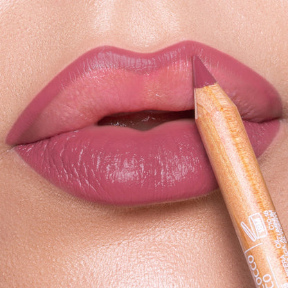 Astra Pure Beauty Lip Pencil 06