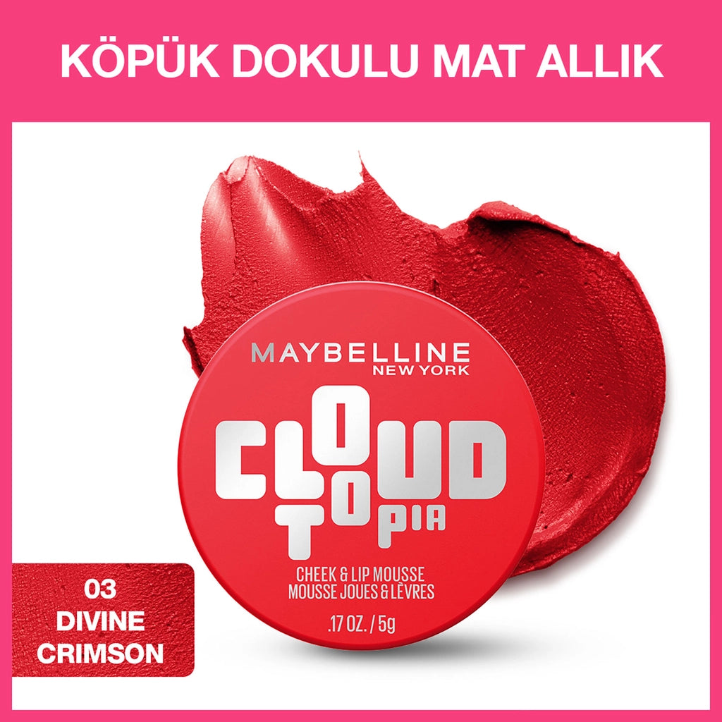 Maybelline New York Cloudtopia Foam Textured Matte Blush 08 Enchanted Mauve