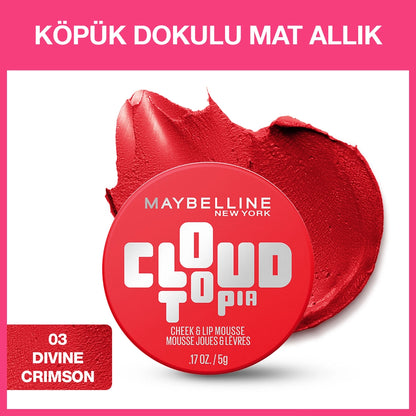 Maybelline New York Cloudtopia Foam Textured Matte Blush 08 Enchanted Mauve