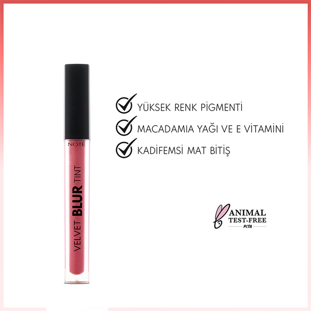Note Velvet Blur Tint Velvet Finish Moisturizing Matte Lipstick 02 Rose Dusk