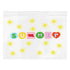 Eklips Sun Summer Transparent Clutch Bag