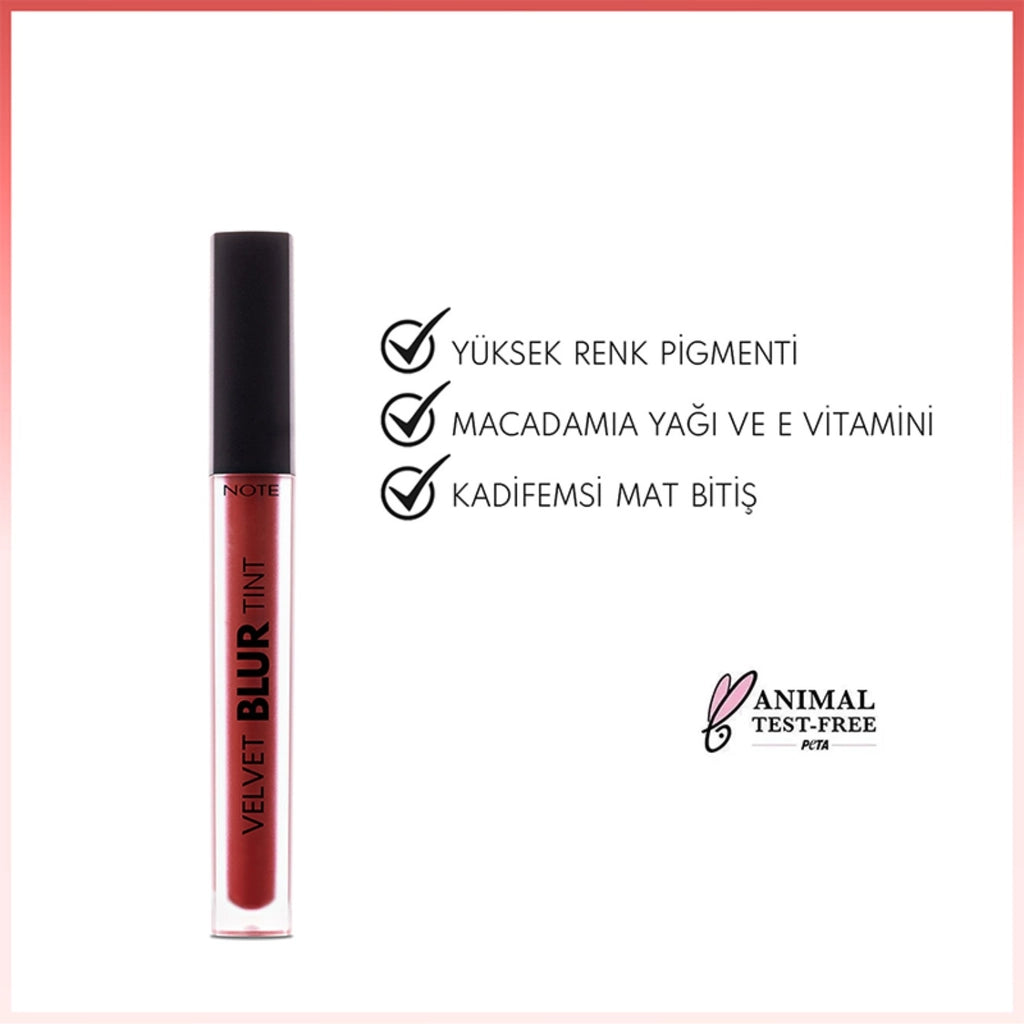Note Velvet Blur Tint Velvet Finish Moisturizing Matte Lipstick 06 Terra Flame