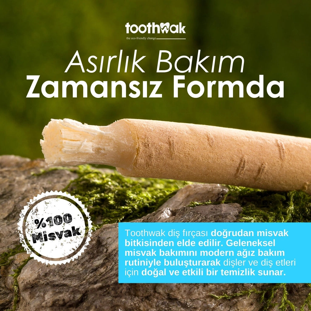 Toothwak Miswak Toothbrush + Set of 2 Spare Heads
