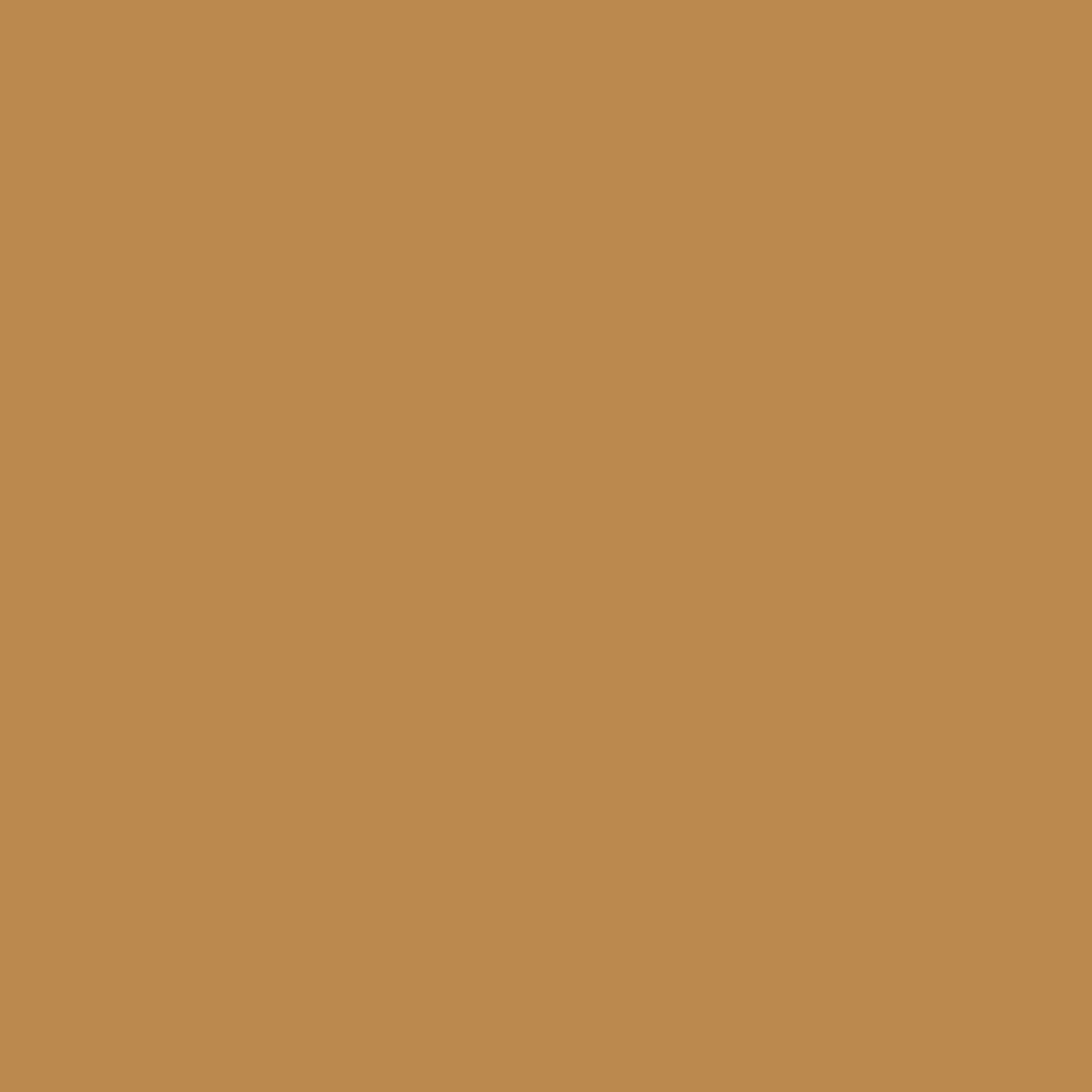 Golden Rose Skin Perfect CC SPF50 Foundation 106 Toffee