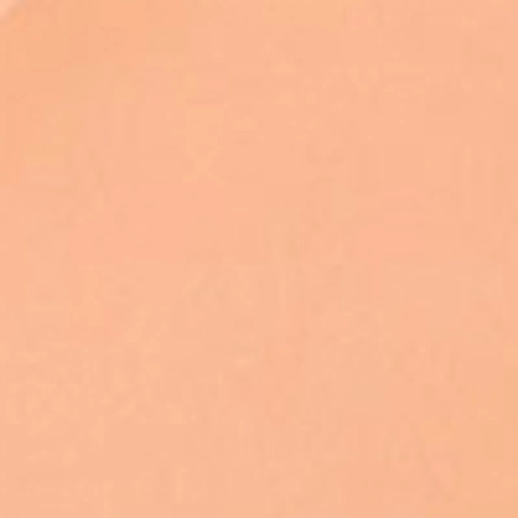 Loreal Paris True Match Tinted Balm Foundation 2.5 Neutral Light