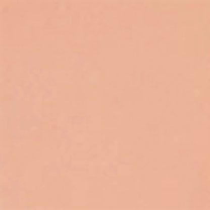 Loreal Paris True Match Tinted Balm Foundation 2 Rosy Light