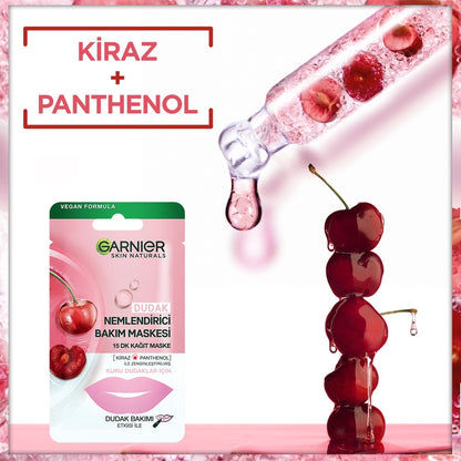 Garnier Lip Moisturizing Care Mask