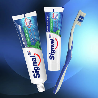 Signal Toothpaste Mint Fresh Against Cavities 100 ml