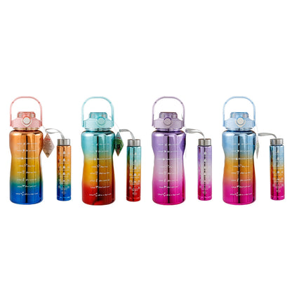 VPW Motivation Flask Set of 2 UV Coated (Assorted)